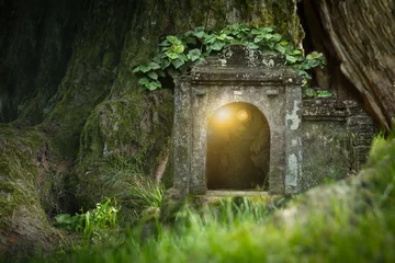 Fotobehang magic forest house © santiago silver