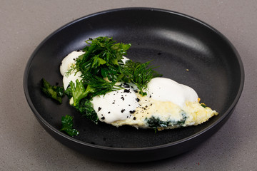 Dietary protein omelet