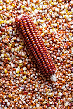 Red corn