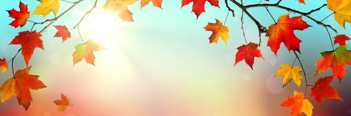 Autumn Background banner with Colorful Falling Leaves And Sunlight