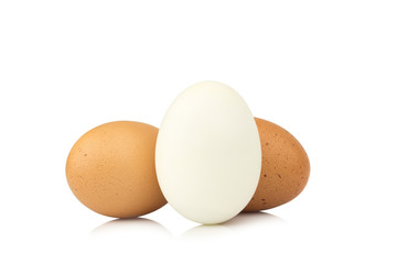 egg white and brown. egg duck and chicken isolated on white background