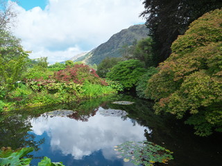 Benmore Botanic Garden, Scotland