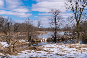 Winter River Meets Marsh