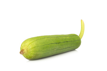 Sponge Gourd isolated on white background