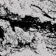 Grungy vector texture of timber pattern. Noisy texture of aged timber 