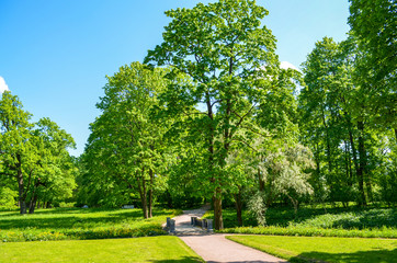 Russia. Pushkin. Catherine park.  Lawns in the area of the Upper ponds