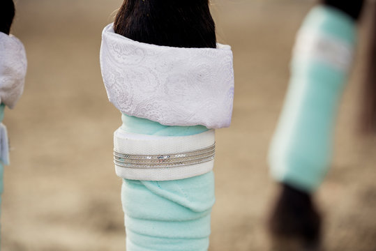 Bandage am Pferd