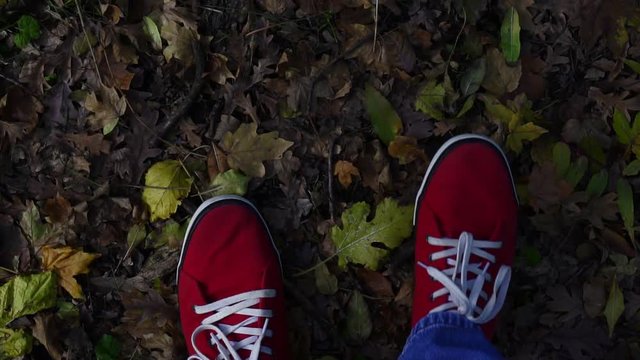A man walks in autumn foliage. Shoes and leaves close-up.