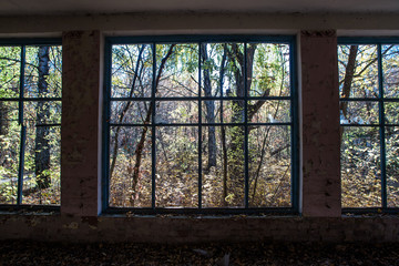 Window in abandoned shop in Chornobyl Zone
