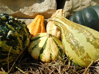 Stone wall of gourds