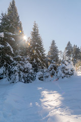 Unterwegs zum Brocken