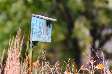 A faded pale blue wooden birdhouse on a post at the Winamac Fish and Wildlife Area in northern Indiana with dried prairie grasses in the foreground