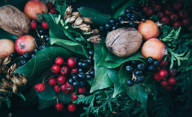 Beautiful fairy dreamy magic flowers.