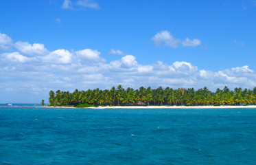 Fototapeta na wymiar Tropical beach in caribbean sea, Saona island, Dominican Republic