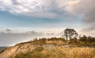 Tree on the hill at sunrise on a cloudy and foggy day.