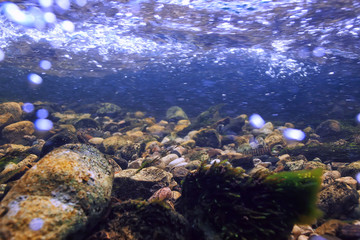 underwater mountain clear river / underwater photo in a freshwater river, fast current, air bubbles by water, underwater ecosystem landscape