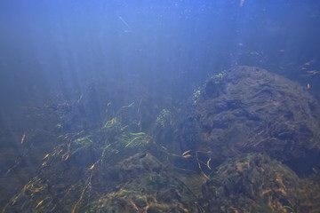 underwater landscape transparent lake / fresh water ecosystem unusual landscape under water