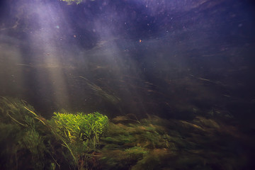 Obraz na płótnie Canvas sunbeams underwater photo / texture underwater landscape with sun rays, blue water sun in the ocean