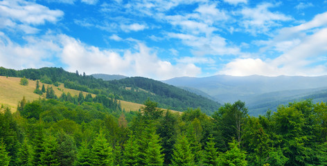 Obraz premium Picturesque and gorgeous scene. Location place Carpathian, Ukraine, Europe. Wide photo.