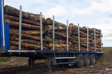 trailers loaded with logs and firewood