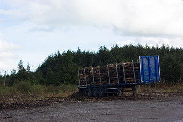 trailers loaded with logs and firewood