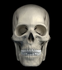 Halloween scarry human skull isolated on a black background - front view. 3d render.