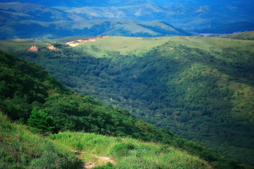 landscape hills with forest