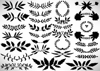 Big Floral Set of black hand drawn dividers, laurel wreaths, leaves, flowers, branches isolated on white. Collection of flourish elements for design. Vector illustration.