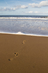 footprints leading into the ocean