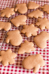 Fototapeta na wymiar Homemade christmas ginger cookies on table