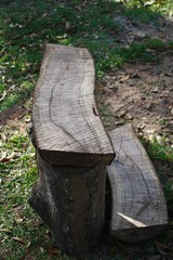 log bench, stumps, logs, leftover's form hericane Irma, backyard art, chainsawed bench, oak