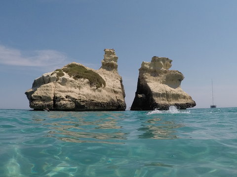torre d'orso