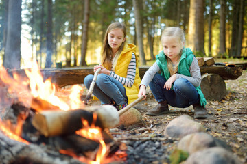 Cute little sisters roasting hotdogs on sticks at bonfire. Children having fun at camp fire. Camping with kids in fall forest.