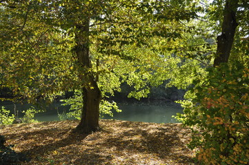 Bords du Loing &agrave; Grez
