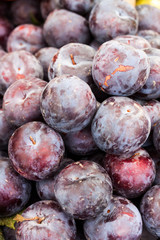 CIRUELAS OSCURAS MORADAS 