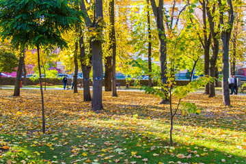 Taras Shevchenko Park (Green Building)