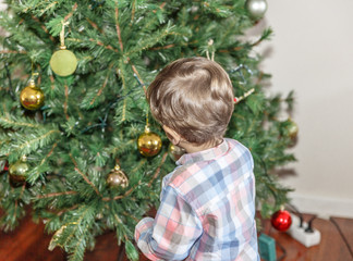 A tender child, puts some balls in a nice decorated Christmas tree, in the living room