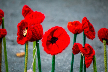 Fototapeta na wymiar knitted red poppies