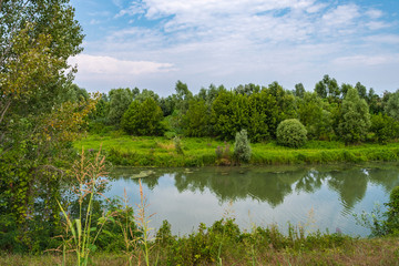 Small river with reflections and green lush vegetation on either side