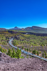 Winding road through terrain with pines and lava