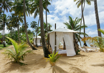 Beach hut and bed on a tropical beach with palm trees