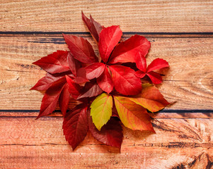 Pile of autumnal red leaves on  wooden background