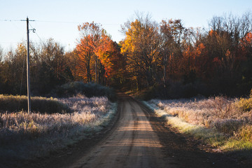 Obraz premium Autumn Country Road