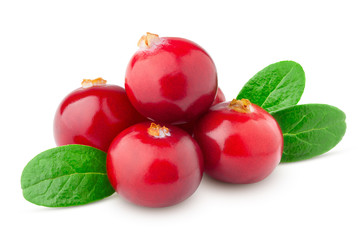 cranberry isolated on white background, clipping path, full depth of field