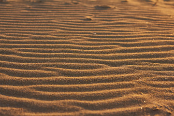 Sandy beach texture