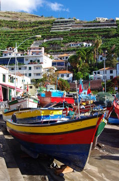 Port de p&ecirc;che &agrave; Camara de lobos  (Mad&egrave;re)