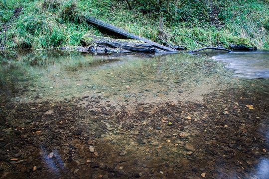 Spawning habitat