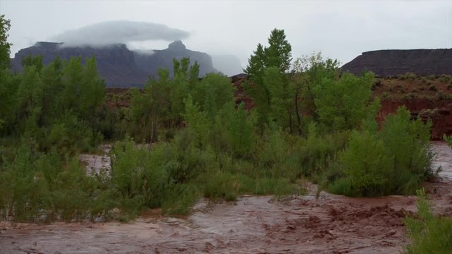 Flash Flood Waters flows through the Canyonlands Needle District Utah USA