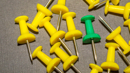 green surrounded by yellow push pins. difference and minority concept