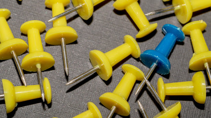 blue surrounded by yellow push pins. difference and minority concept